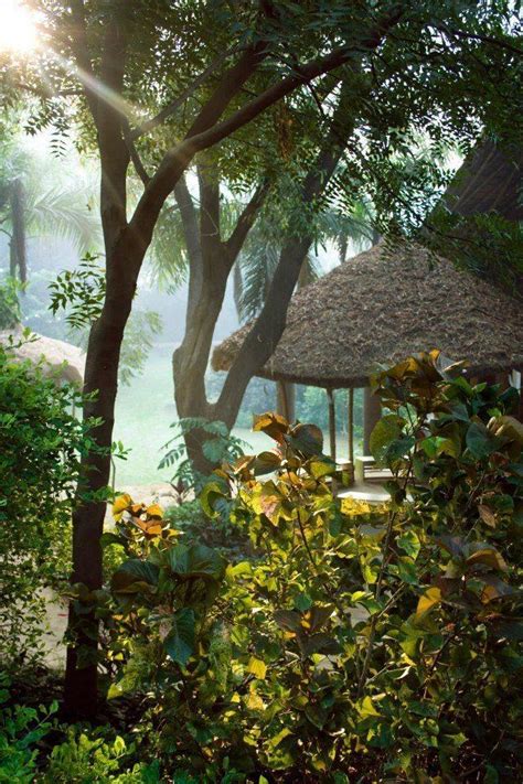 undefined | WhatsHot Delhi Ncr