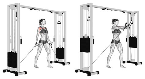 Parallel Cable Fly at Robert Sheffield blog