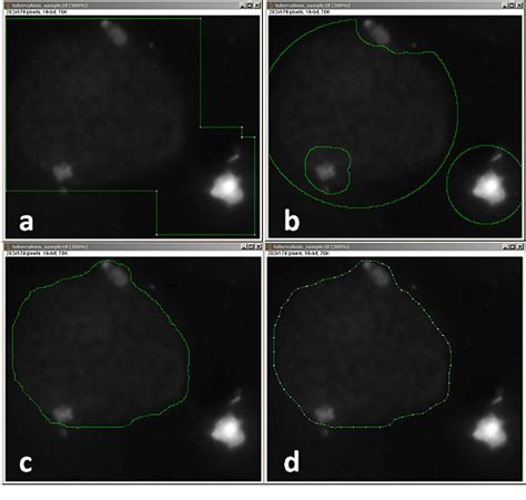 Image result for Image Processing Using ImageJ