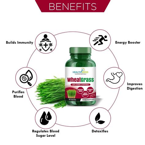 Buy HEALTHMEDS PURE & NATURAL WHEAT GRASS CAPSULES 1000MG/SERVING FOR ...