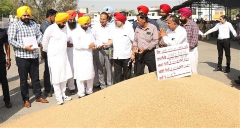 Punjab to use ancient broadcasting technique to grow rice this Kharif ...