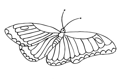 The Very Hungry Caterpillar Butterfly Coloring Page