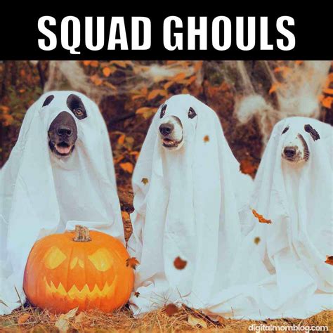 45 Hilarious Halloween Memes To Boost Your Spooky Spirit