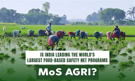 India's Role in the World's Largest Food Safety Net Programs | Getfarms ...