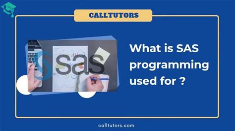 What Is SAS Programming 的图像结果