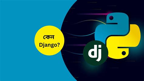 Django Programming 的图像结果