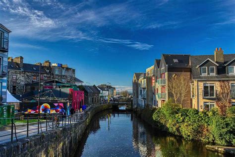 29 Facts About Seaweed - Facts.net