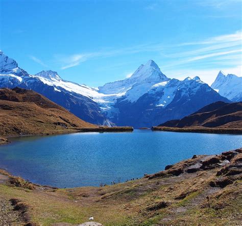 GRINDELWALD-FIRST (2025) All You Need to Know BEFORE You Go (with ...