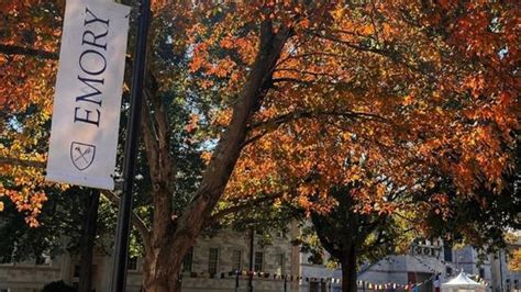 Who is Fatemeh Ardeshir-Larijani? Protest outside Emory University ...