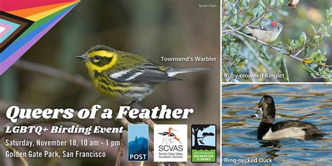Queers of a Feather (LGBTQ+ Birding Event), Stow Lake Bridge, San ...