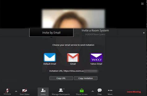 Image result for Zoom Connection
