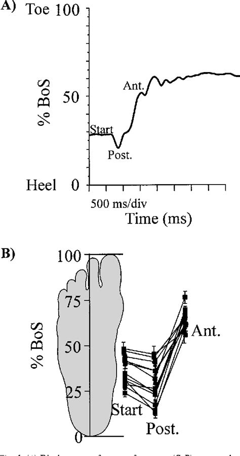 Image result for Functional Reach Test Explained