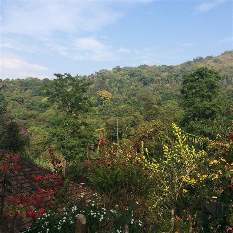 HONEY VALLEY HOMESTAY (Coorg/Virajpet) - Guesthouse Reviews & Photos ...