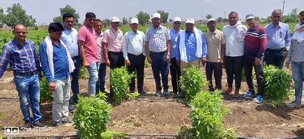 Workshop on Hi-tech banana cultivation in changing climate scenario | ICAR