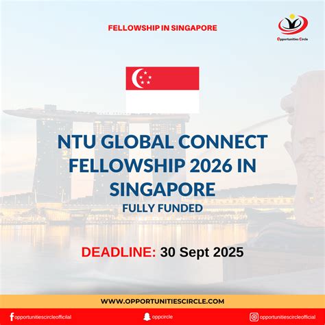 Yale Peace Fellowship 2026 | Fully Funded - Opportunities Circle