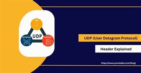 Datagram Header 的图像结果