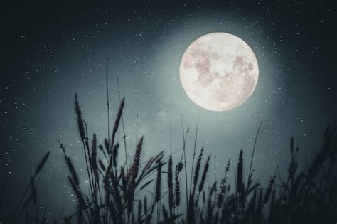 Image result for Beautiful Fall Moon