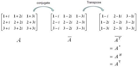 Image result for Conjugate Transpose Examples