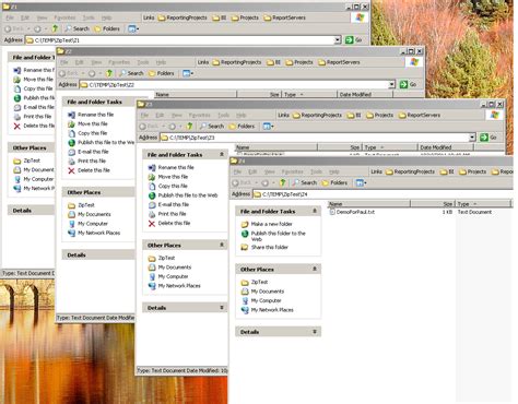 Image result for WinZip Explorer