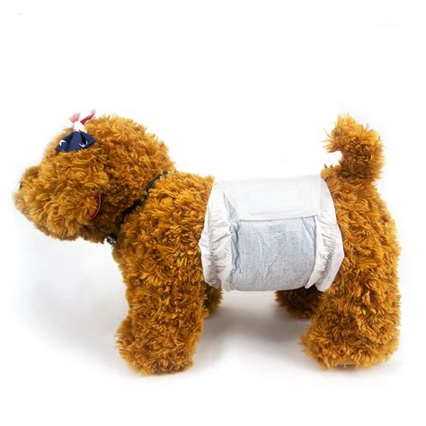 Buy DONO Disposable Dog Diapers Male Medium Doggie Diapers Pants, with ...