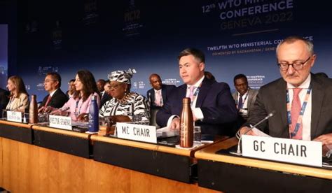 The Stranglehold Continues at the WTO | The India Forum