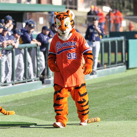 Clemson University 2015-16 Mascot Tryout Information – Clemson Tigers ...