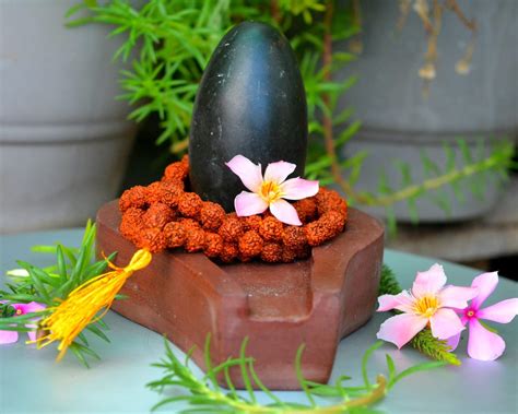 Shiva Lingam Shop Original Narmada Narmadeshwar Shiva Lingam with India ...