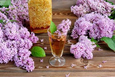 Настойка сирени на водке рецепт с фото пошагово - 1000.menu