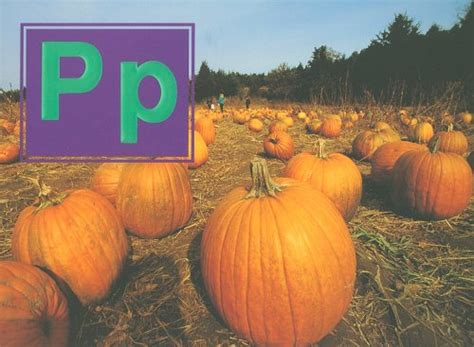 Buy Pp Steck-Vaughn Phonic Readers Plus (Steck-vaughn Phonic Readers ...