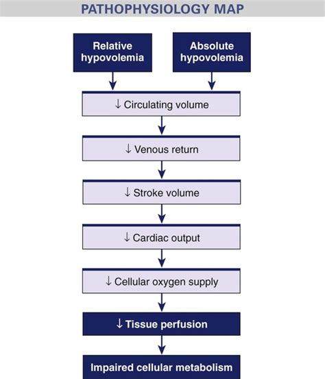 Shock Pathophysiology 的图像结果
