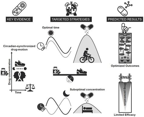 Rethinking Osteoarthritis Management: Synergistic Effects of ...