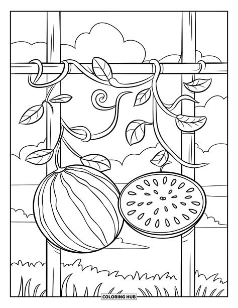 70+ Watermelon Coloring Pages for Kids & Adults (Free Printable PDFs)