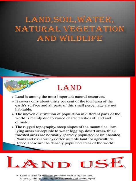 Resource 的图像结果