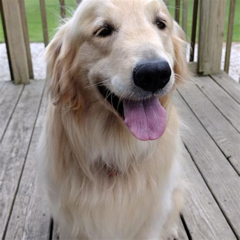 All Events in Jefferson, OH, Today and Upcoming Events in Jefferson, OH