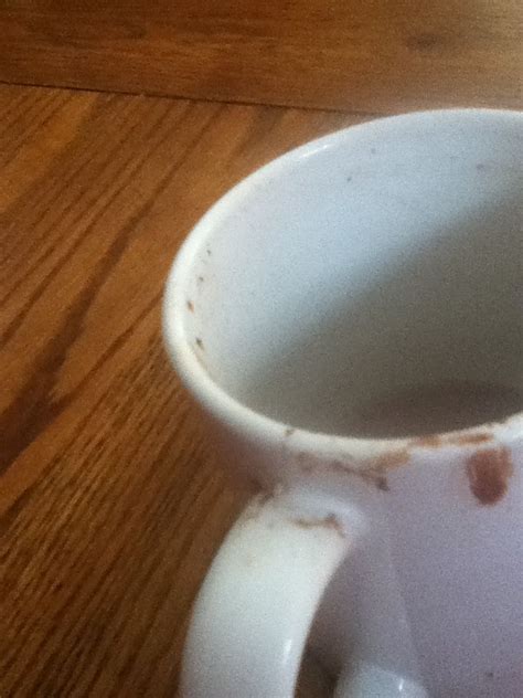 xylitol hot cocoa recipe
