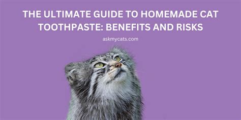Image result for Homemade Cat Toothpaste