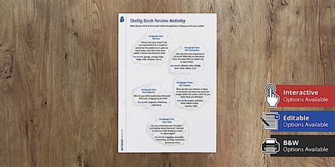 Skellig Book Review Activity (teacher made) - Twinkl