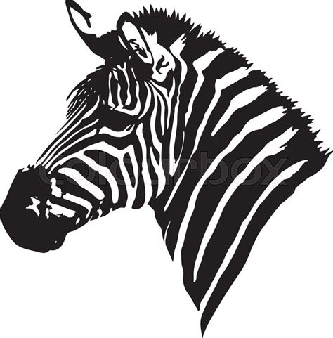 Zebra Face Outline