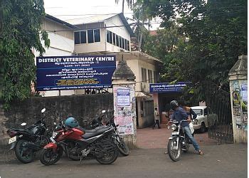 3 Best Veterinary Hospitals in Thiruvananthapuram, KL - Expert ...