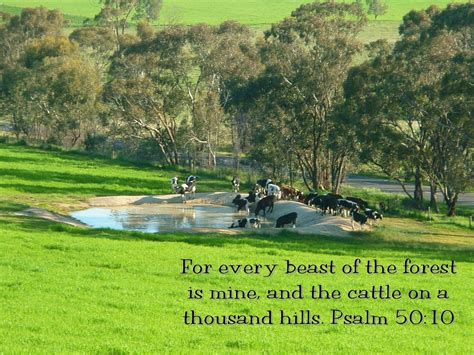 KJV Bible Wallpapers: Psalm 50:10