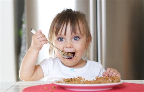 Only the Best Healthy Snacks will do for Your Toddler's Lunch. Top 10 ...