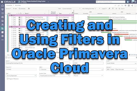 Image result for Oracle Primavera P6 Opening Window