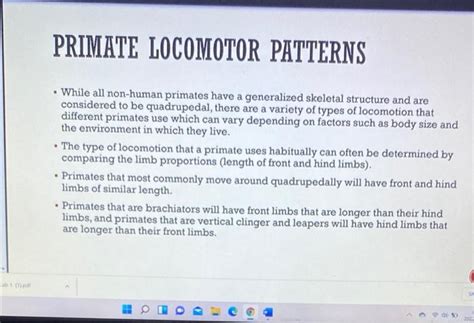 Image result for Locomotor Patterns in Primates