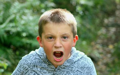 Image result for Signs of Aggression