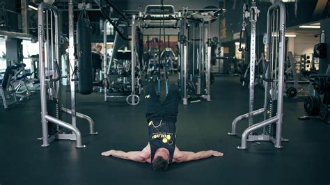 TRX Leg Curl 的图像结果
