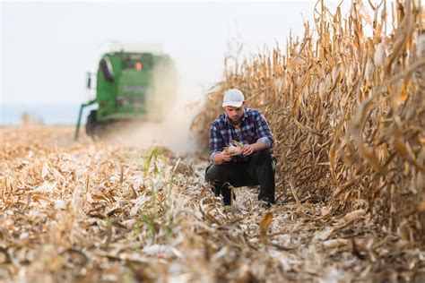 US-Farmer wollen mit großer Mehrheit Präsident Trump wählen ...