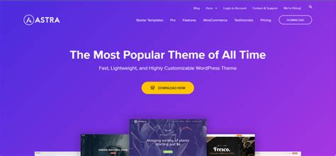astra fast lightweight customizable wordpress themes download now