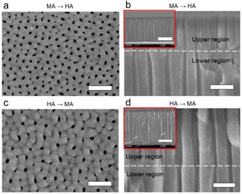 Control of the Nanopore Architecture of Anodic Alumina via Stepwise ...