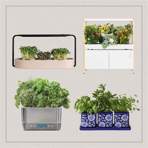 Indoor Herb Garden Containers Ceramic HERBS Pot Planter Holly & Co