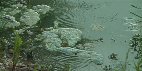 KDHE announce public health advisories for Kansas Lakes due to blue ...